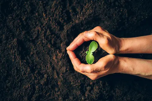 care-about-environment